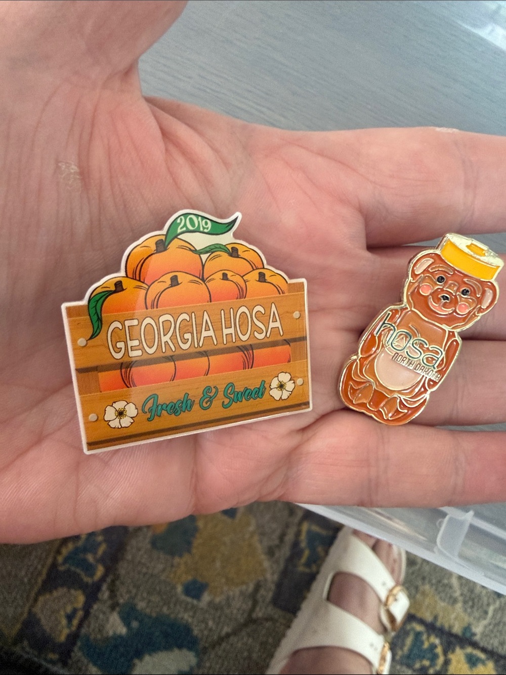 2 Pins -Hosa Collection,Sweet Peach Georgia Enamel Pin & North Dakota Honey Bea